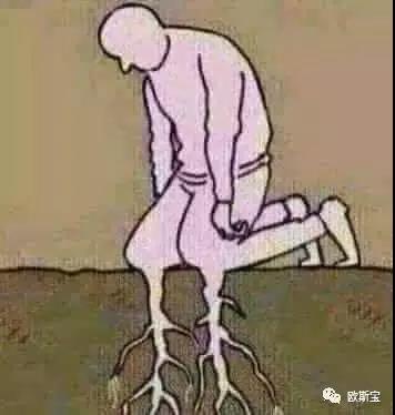 【威廉希尔体育官方网站团队】论成功的自我修养！